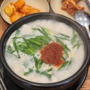 역삼 혼밥 부산아지매국밥 역삼점 후기