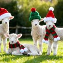 유주막로 이미지