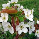 주원(2)농장 이미지