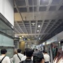 3089 | 인천 - 정저우 CZ6010, 선전 - 인천 CZ3089 다구간 탑승 후기 (이코노미, 남방항공 기내식, 체크인...