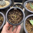 서반농장 이미지