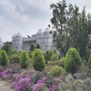 상향농장 이미지