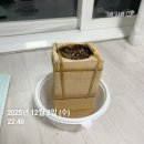 도토리나무 새싹과 아이가 함께 찾아온 100일 여정 이미지