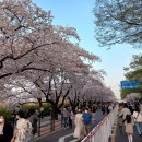 안성컴퓨터세탁 이미지