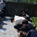 흥성농장