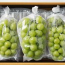 신명천지 소극장 이미지