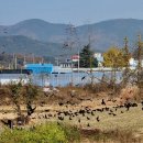 서종주 이미지