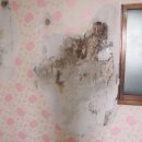 반월촌경로당 이미지