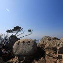 금수산산마루 이미지