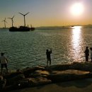 탄도항 노을 캠핑장 이미지