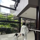 세부 아얄라몰 기념품 :: 팟포 쌀국수 맛집, 마트 ,쇼핑 필수리스트,스타벅스