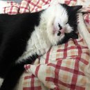 만인의집 이미지