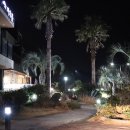 섶섬 아우룸 이미지