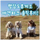 행담도 | 행담도휴게소 애견파크 솔직후기｜태안여행 가는 길 모다아울렛 산책 코스