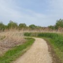 쉬멍 놀멍 자멍 이미지