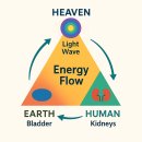 기본(基本)은 평생 수련이다-보이는 세계와 보이지 않는 세계를 잇는 길 이미지