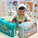 소프트큐브 | [Review] 베이비드라이 팬티 리뉴얼 신상, 팸퍼스 엔젤브리즈 소프트팬티