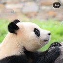 오공푸드 이미지