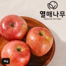 법인과일나무
