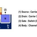 BODY EFFECT 이미지