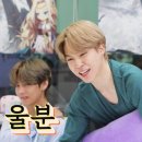 점핑스파이더 운정 이미지