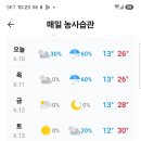 남금송이 전화 했다. 이미지