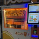 과일자판기 | 싱가포르 자유여행 생과일 착즙 오렌지 주스 자판기 후기/ 위생?