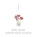 서구-01-79 이미지