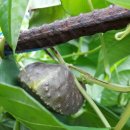 하늘별민박 이미지