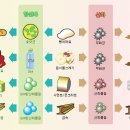 EM(이엠) 이미지