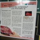 명성정육점 이미지