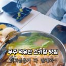 고양이발자국