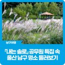 선암호수공원축구장(주말) | 내는 솔로 속 울산 남구 명소 둘러보기