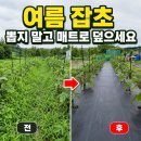 그루터기농장 | 매년 여름 올라오는 잡초 뽑지 말고 방초매트로 덮으세요