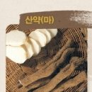 조은한약 Daum카페