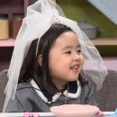 라니 티브이데일리