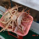 기장시장대게 이미지