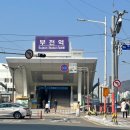 부전시장 맛집 동양명란 젓갈이야기 명란과 창란젓후기