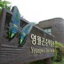 애환한우 네이버블로그