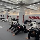 하바스MMA 압구정 이미지
