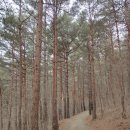 산삼자연휴양림 | 전국자연휴양림탐방기2