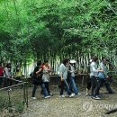 대전상대초등학교 이미지