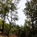 (주)누원밀양지점 | 밀양 용두산 달팽이 전망대 산성산 산행 밀양 잔도 길 밀양 가볼 만한 곳