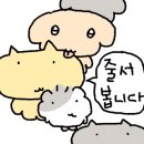 주식회사 스몰티켓 이미지