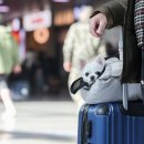 고향찬반 이미지