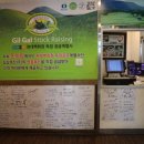 제주흑돼지표돈