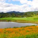 CC 골프존 이미지