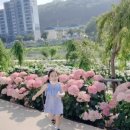 색동수국정원 공중화장실 이미지