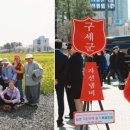 징검다리 이미지