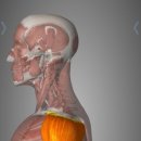 홍대 프로씨드 짐 이미지